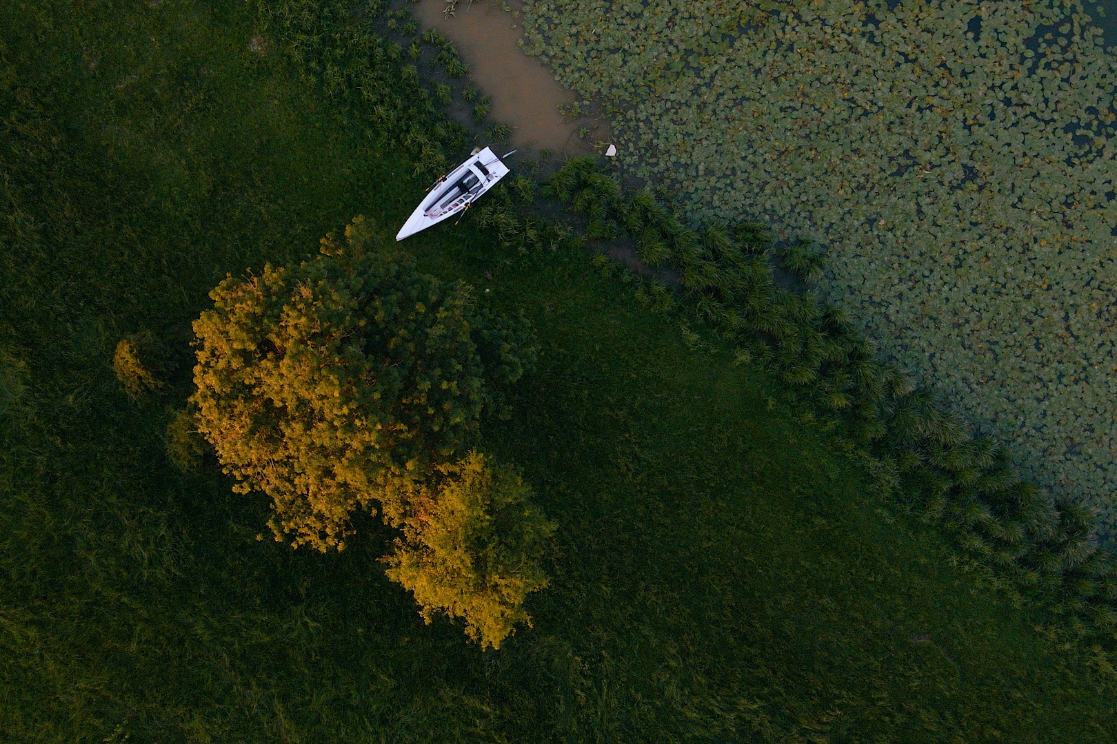 rowing sailboat