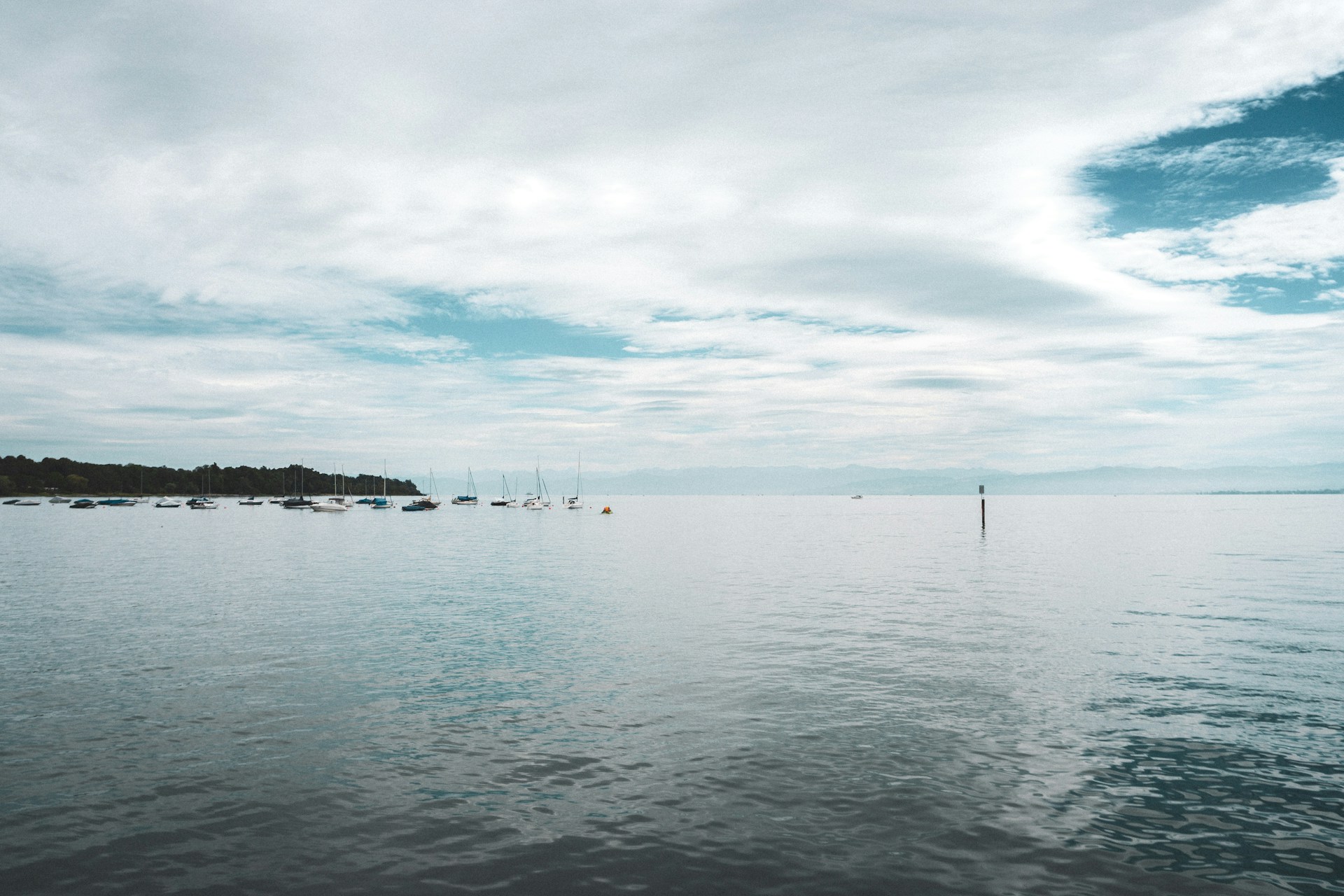 sindy-sussengut-814uOMFdhrc-unsplash